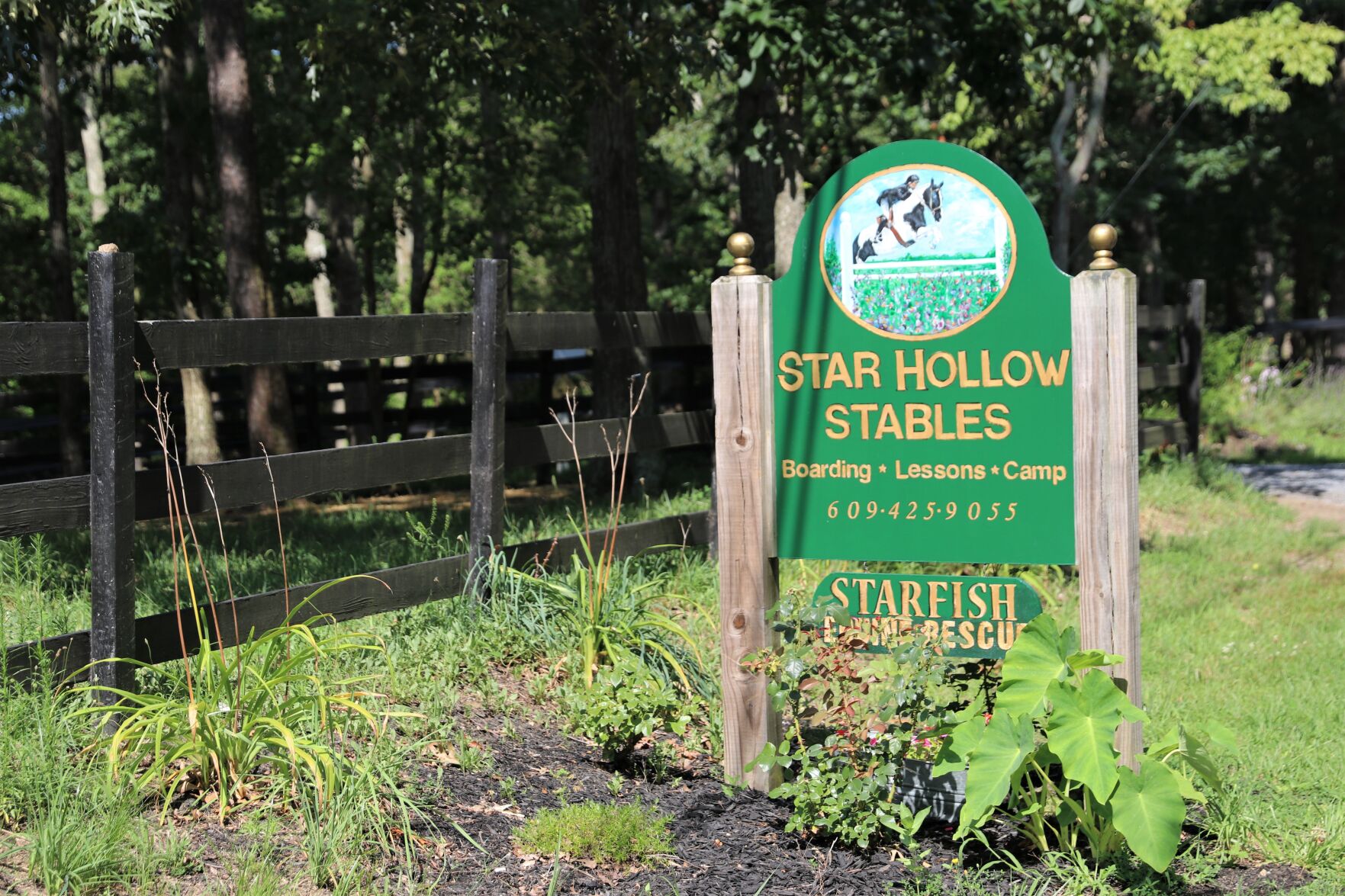 071921-pac-nws-horses